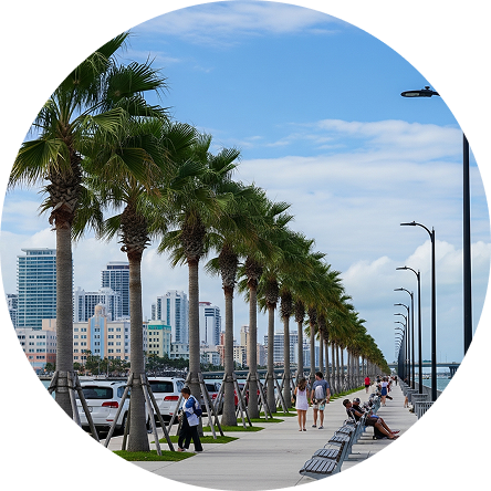 Florida Cannabis and Weed Delivery Coverage by Blazyweed | Cobertura de entrega de cannabis y marihuana en Florida por Blazyweed